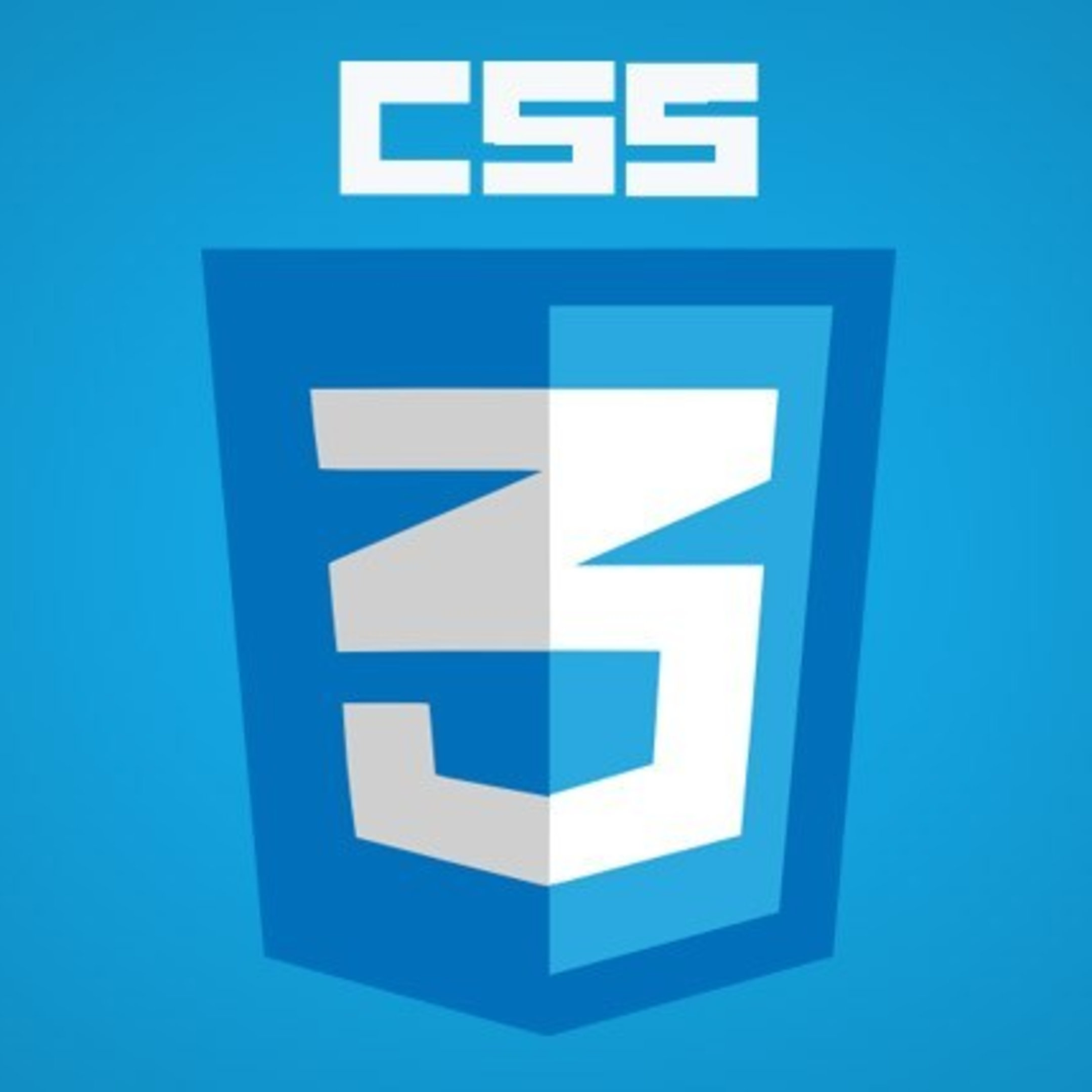 CSS